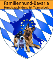 Trainer- und Sachverständigenausbildung