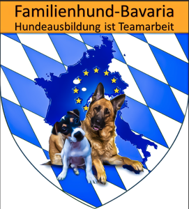 Trainer- und Sachverständigenausbildung